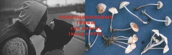 хмурый Армянск