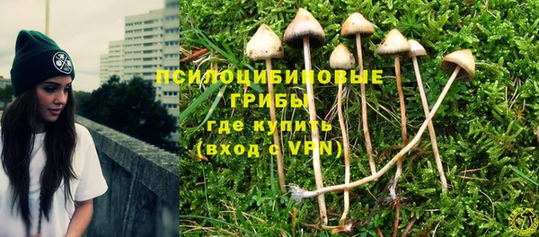 дурь Аркадак